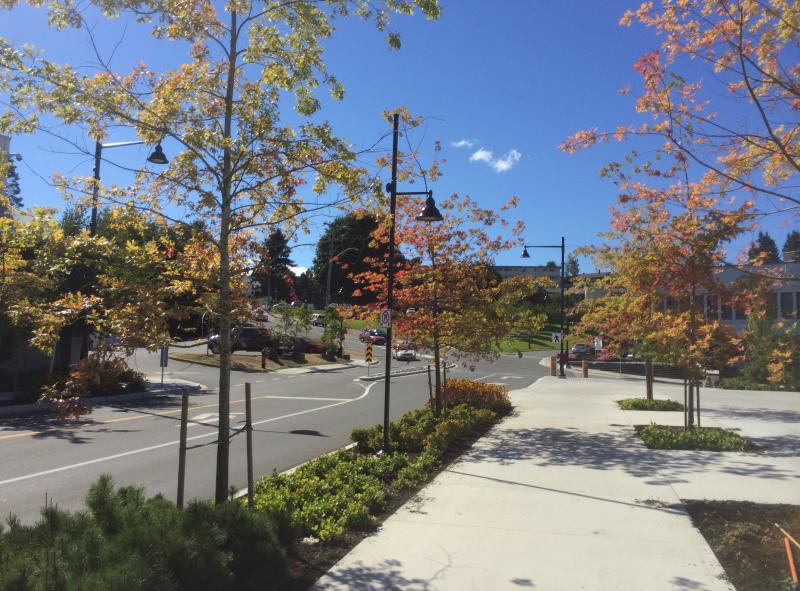 Campbell River Streetscape