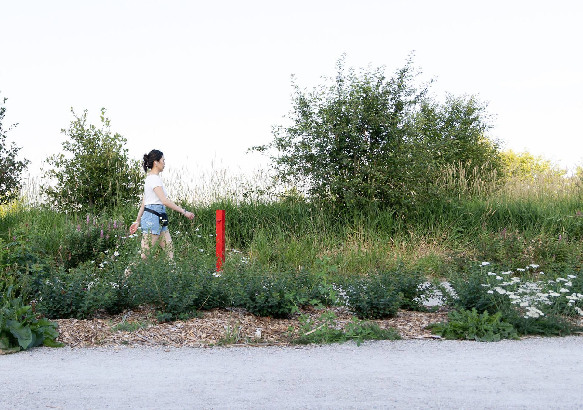 GCL-Planted-Pathway-Colour