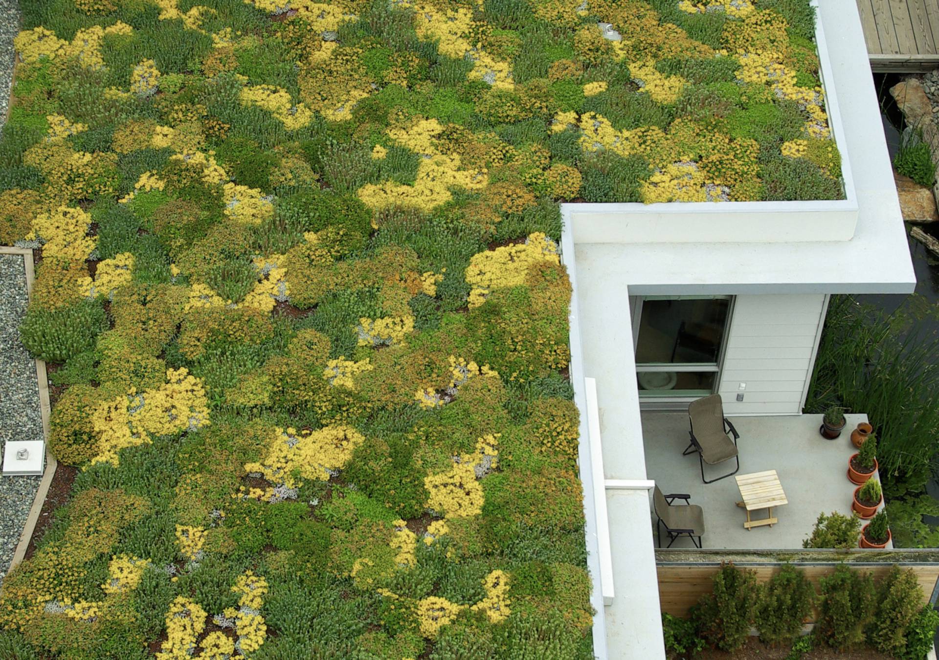 Dockside Green green roof