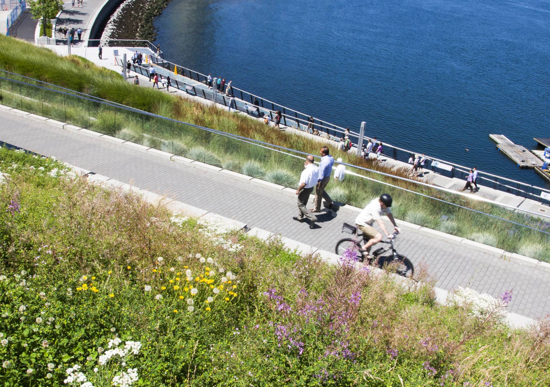 seawall bikeway