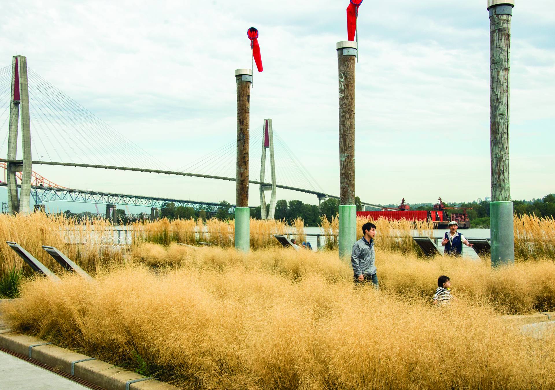 Westminster Pier Park tall grasses