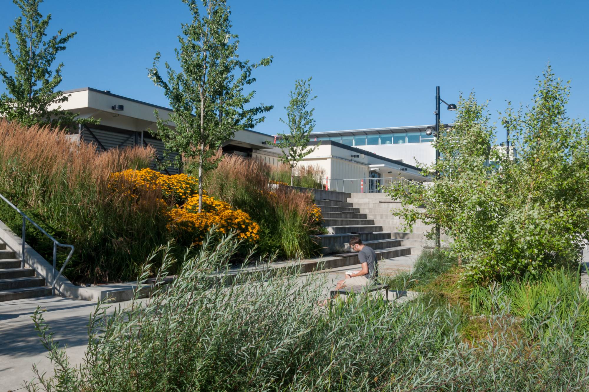 BCIT Goard Way