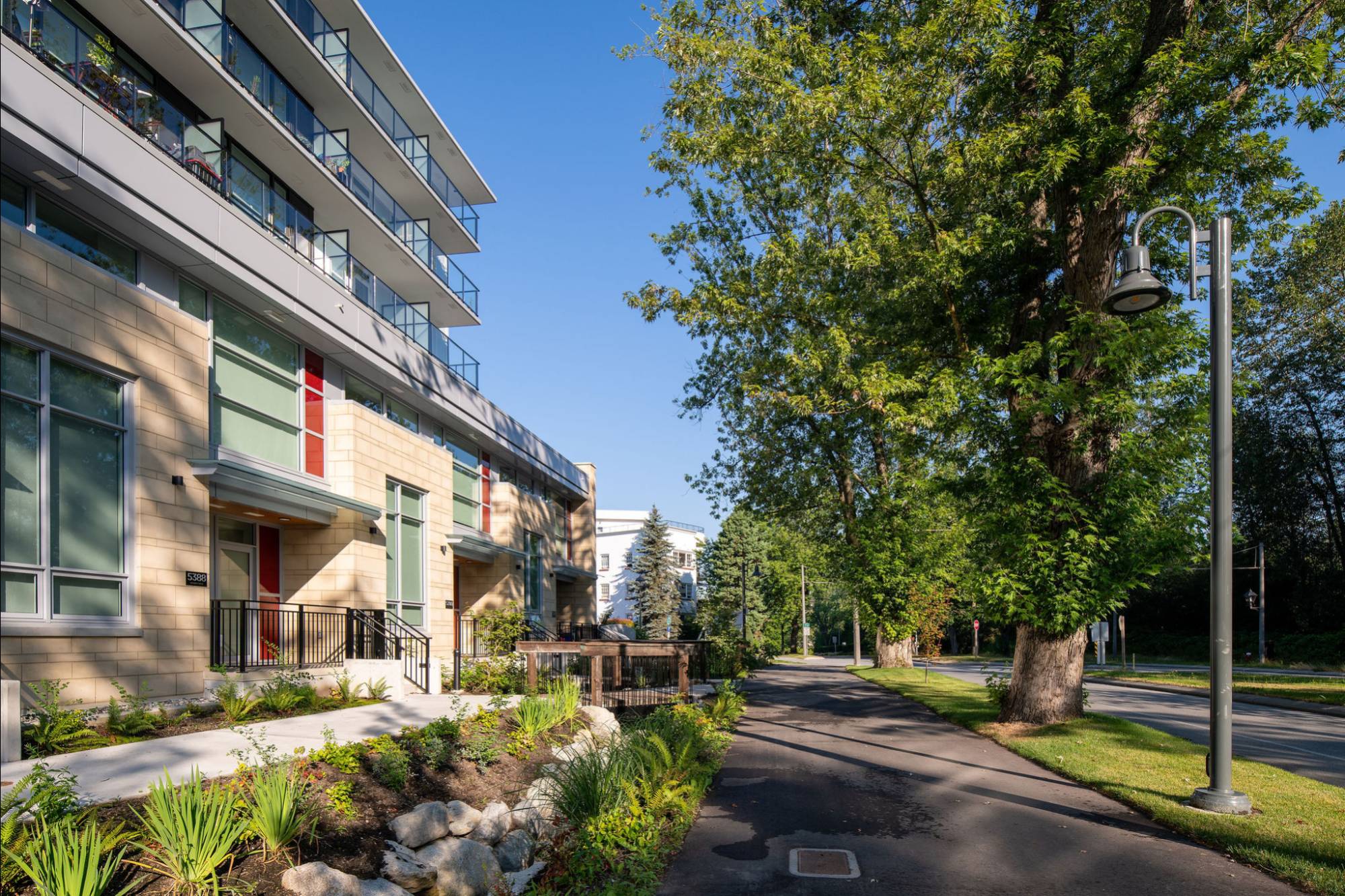 photo of multi-use path and bioswales.