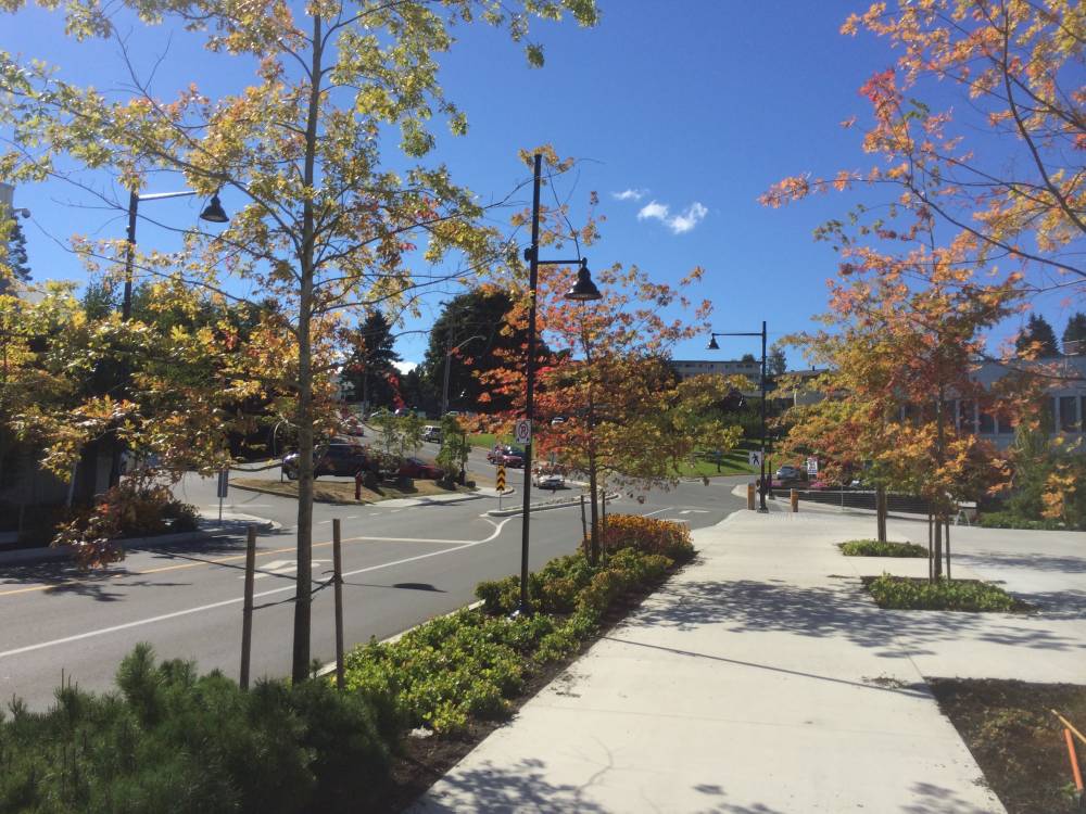 Campbell River Streetscape 