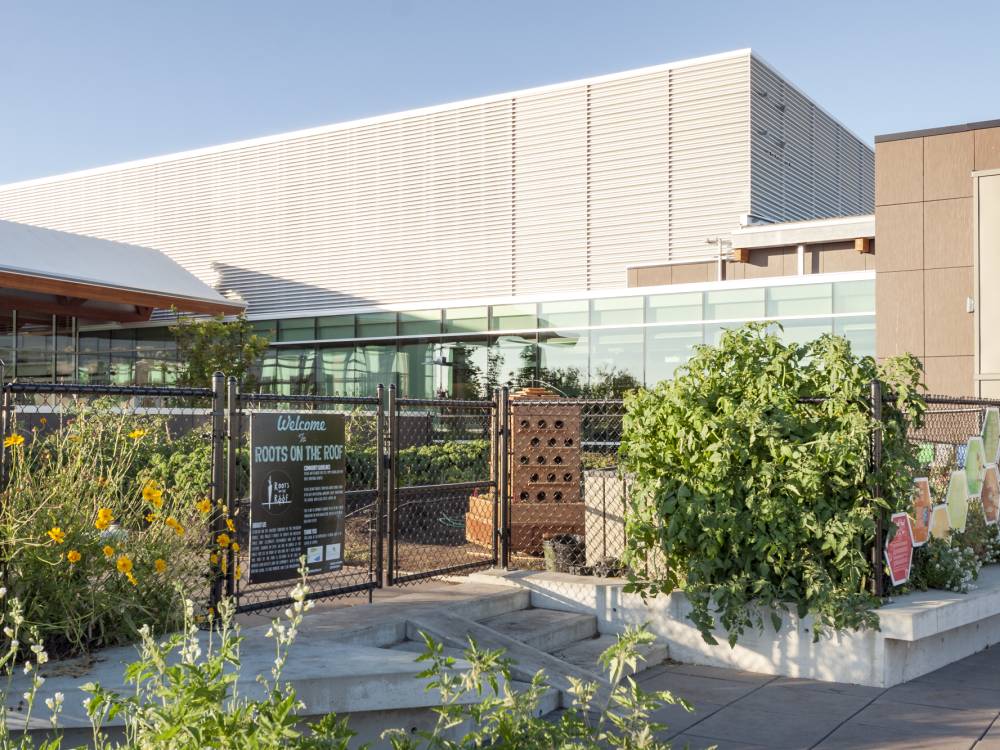 UBC Nest Rooftop Community Garden