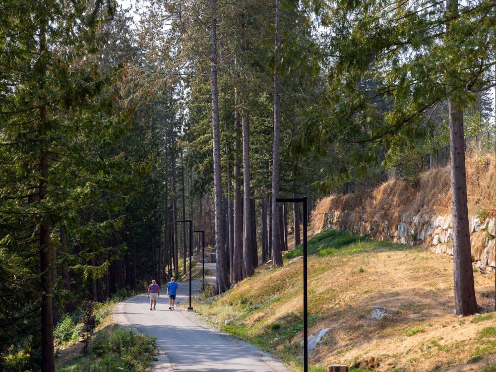 Cypress-Mountain Path