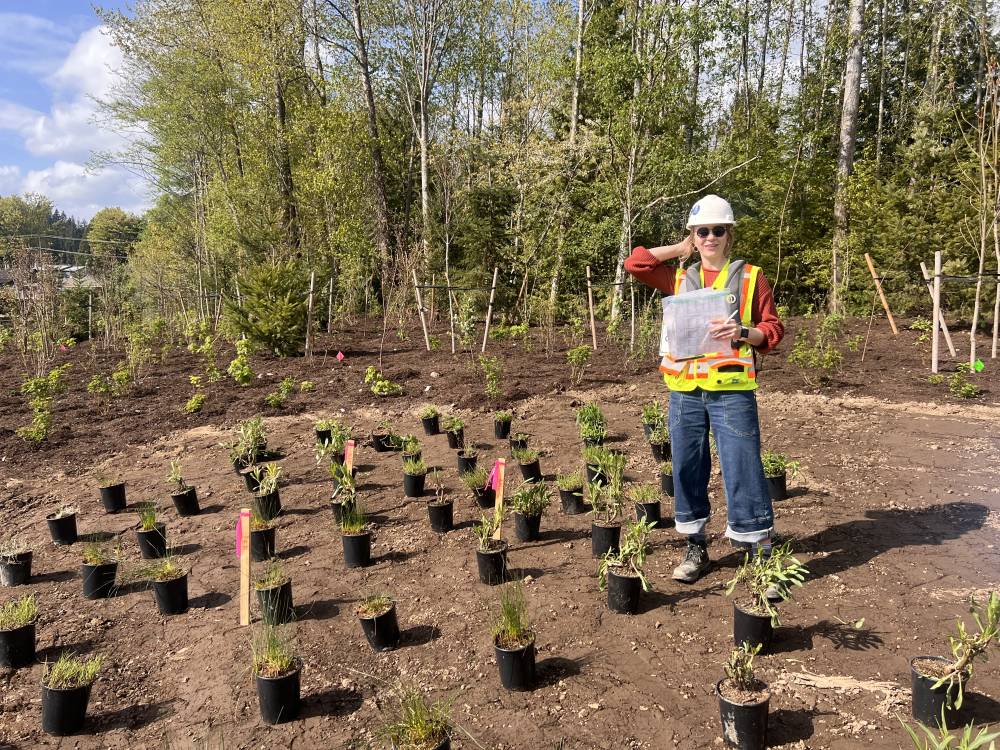 Person in hard hat with plants