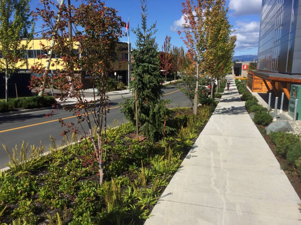 Campbell River Streetscape