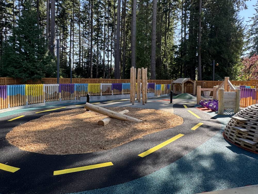 photo of child play area near forest