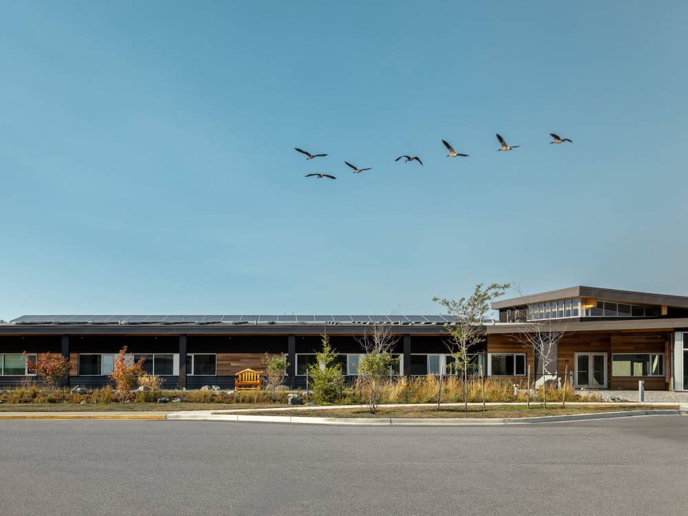 Photo of geese flying of the Health Centre