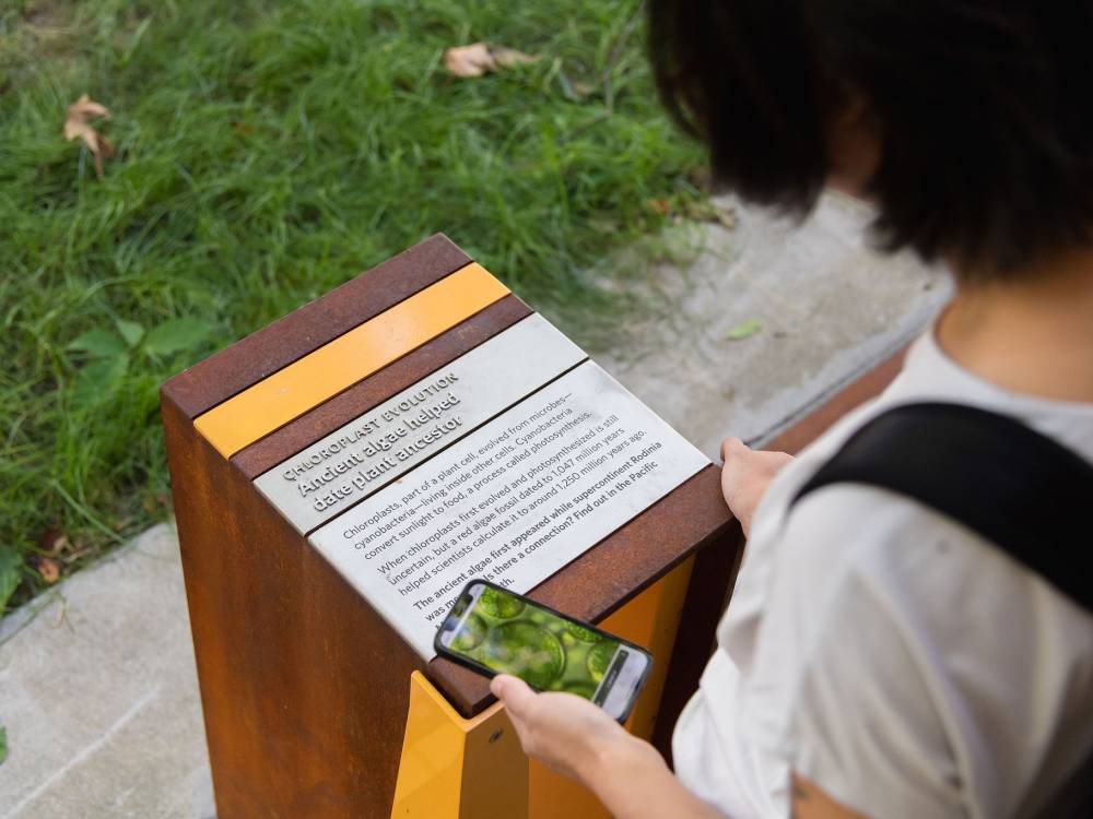 Photo of person looking up information on their phone.