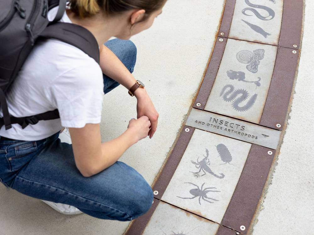 Person reading interpretive panel in ground.