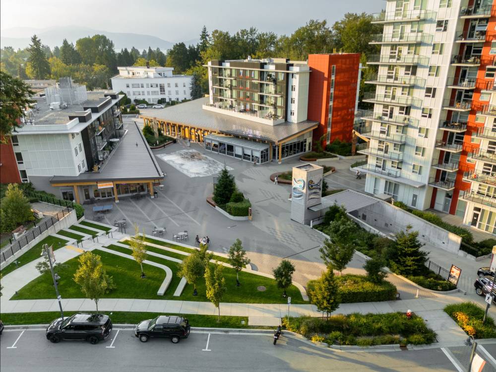 aerial photo of village.