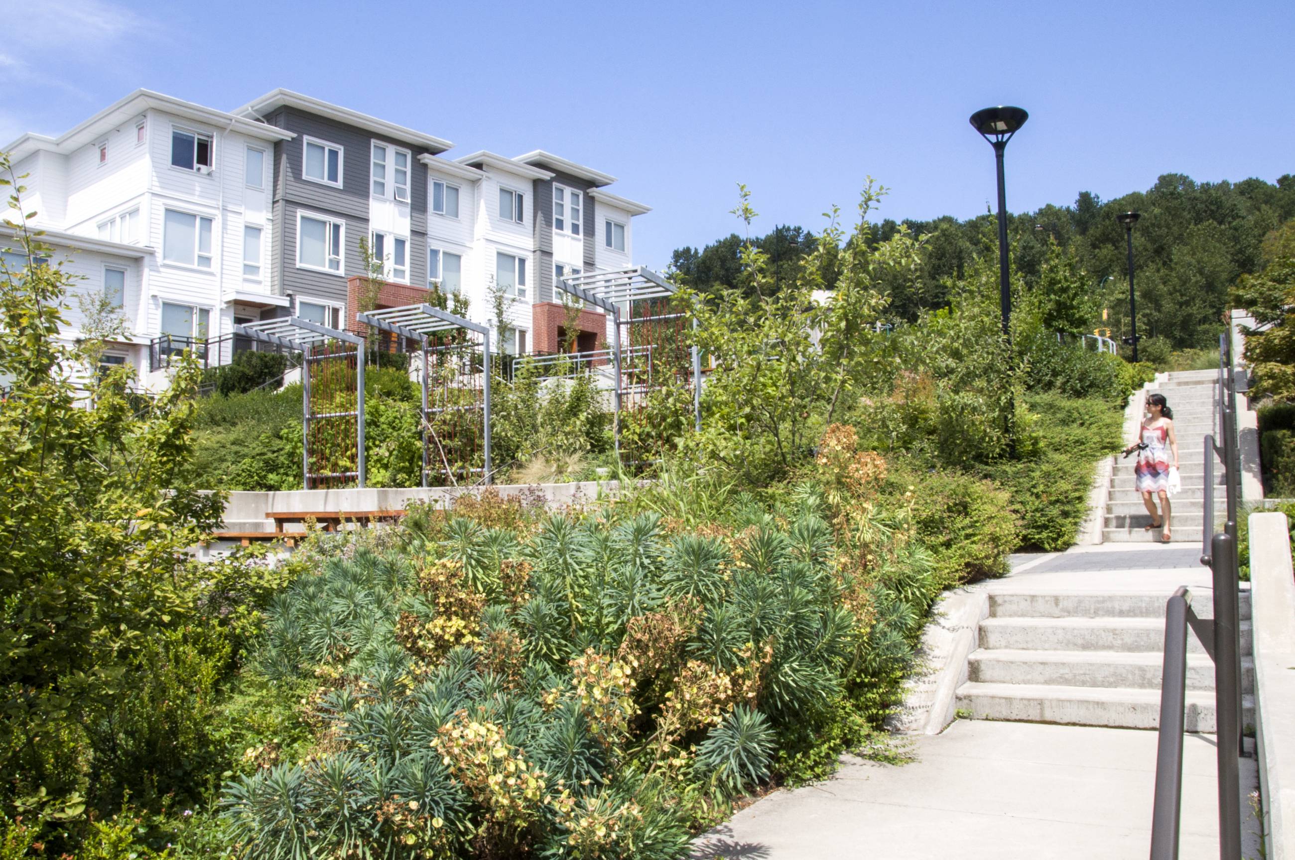 River District Neighbourhood Park North