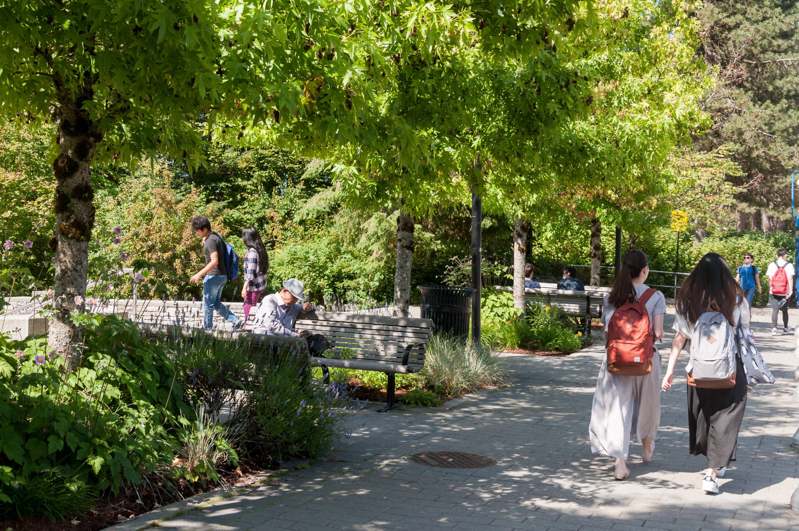 SFU Town and Gown Square