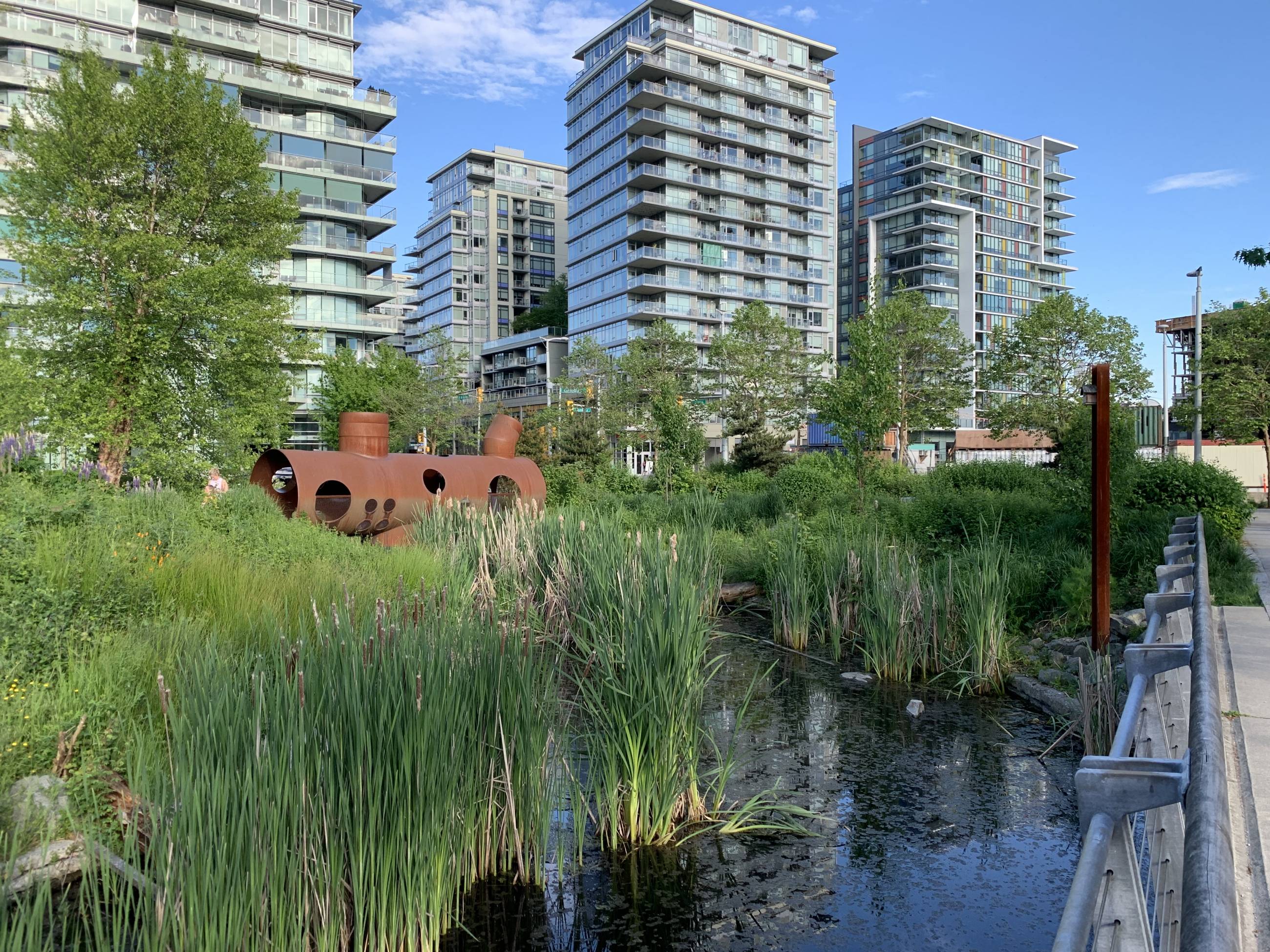 Wetland and bridge