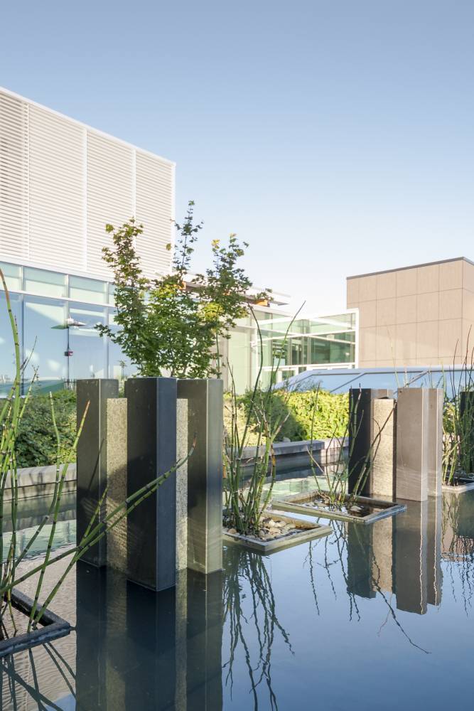 UBC Nest Rooftop
