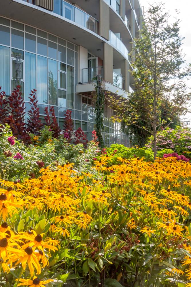 Retirement Residences