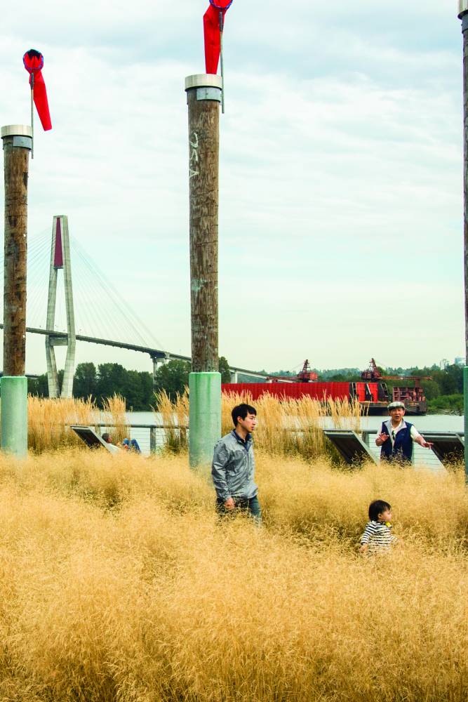 Grown up and child walking through long grasses.