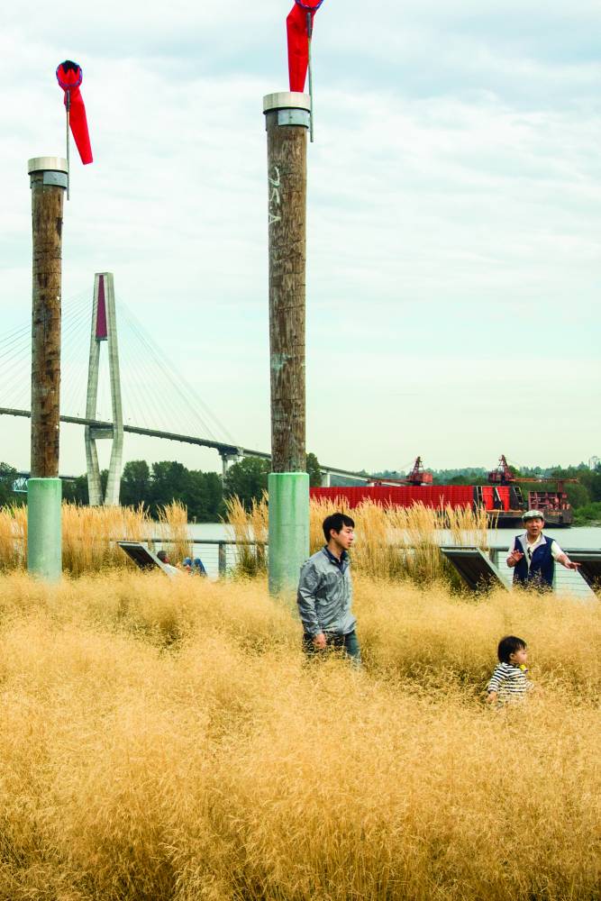 Grown up and child walking through long grasses.