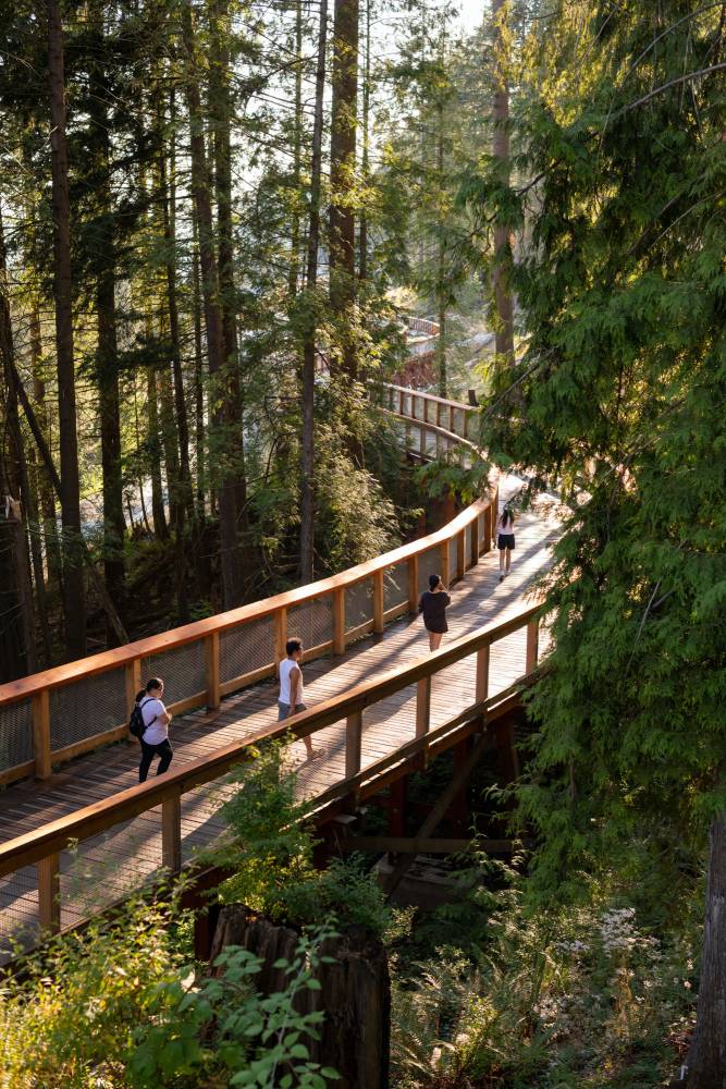 People walk through Trestle Bridge suspended in a forest.