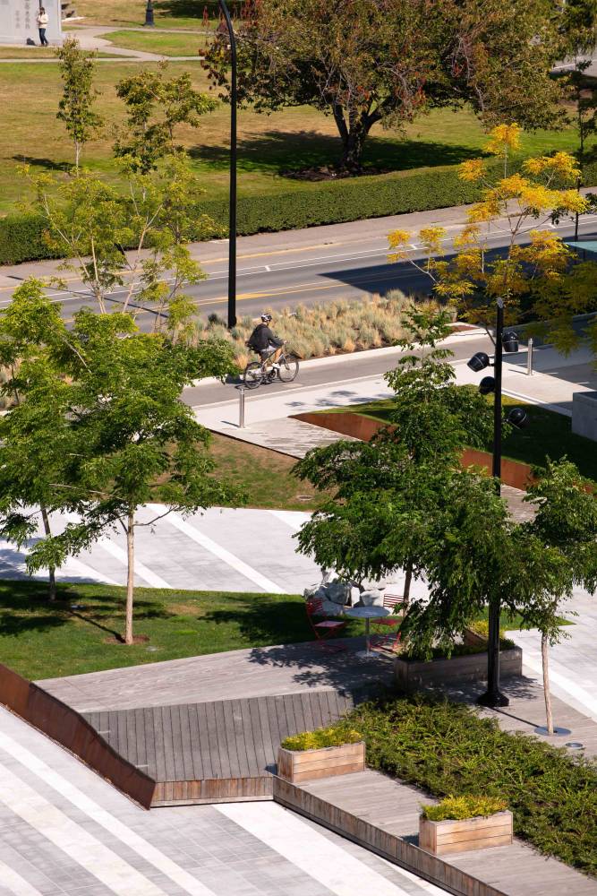 Photo from above the plaza, showing the variety of planting and wooden benches as a man bikes along the bike path.