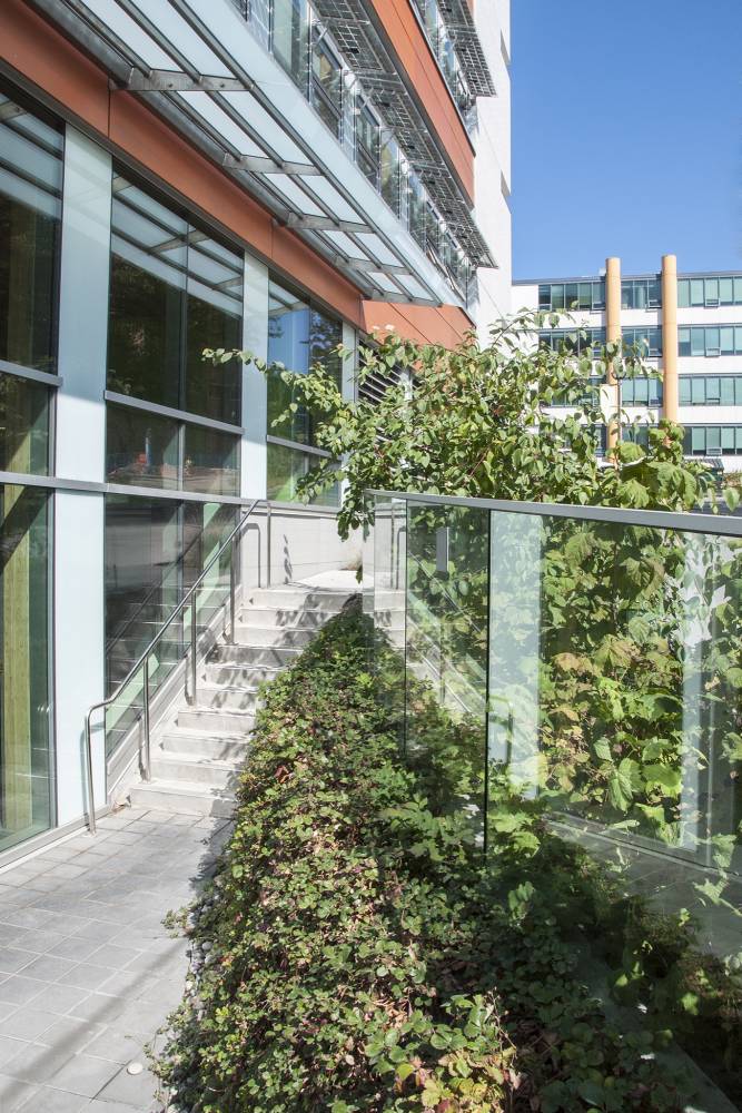Planting outside the building exterior.