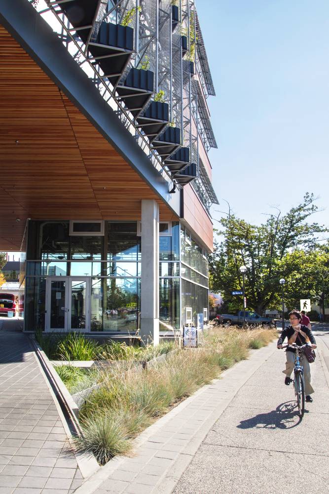 A person bikes past the planting near the building.