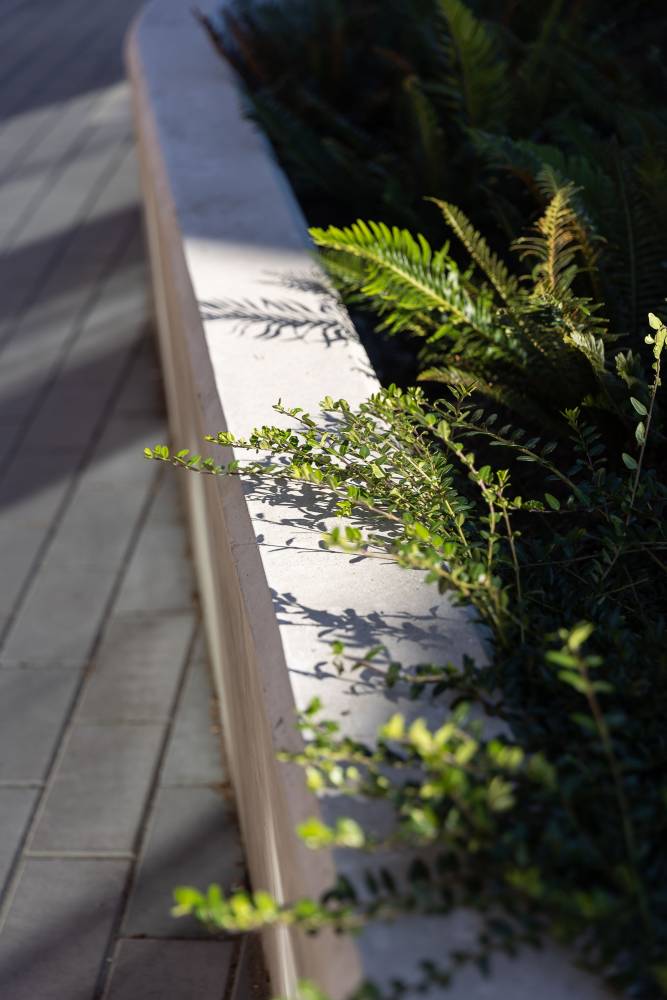 photo of planting detail.