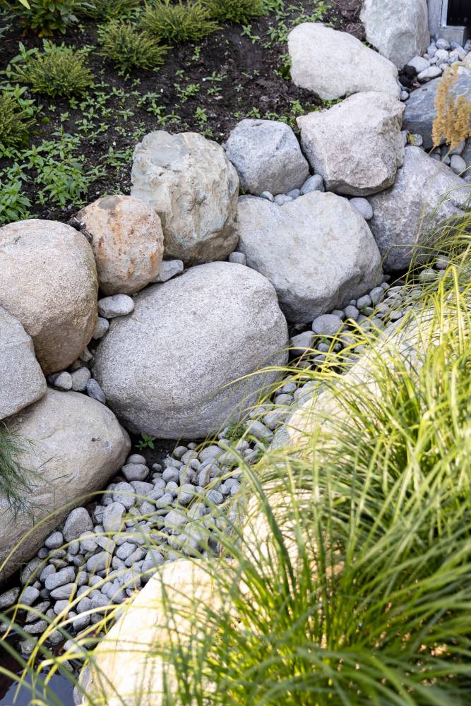 photo of rocks and plants.