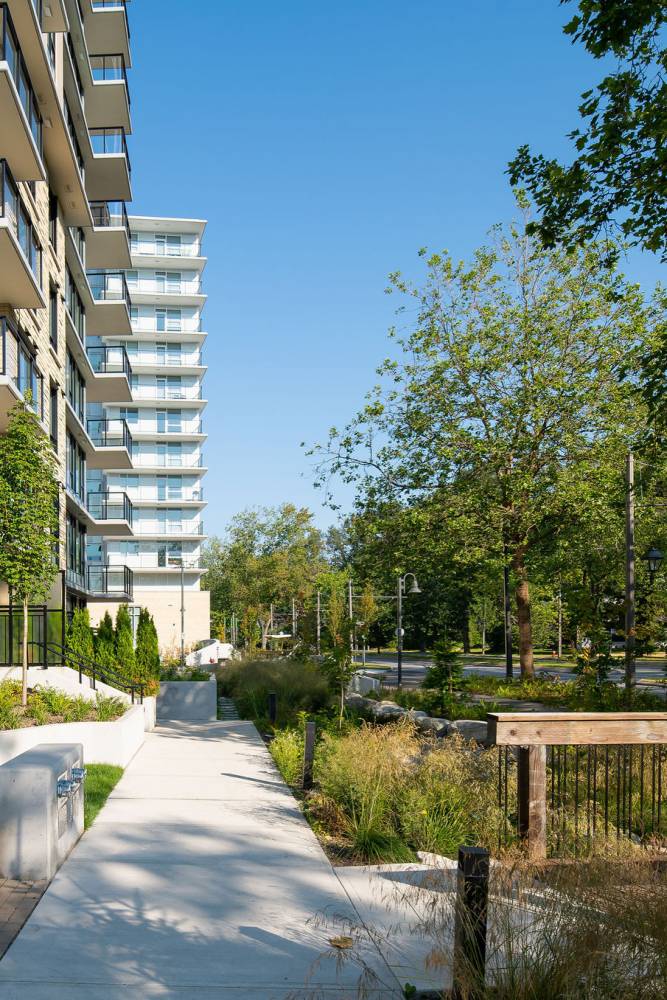 Photo of sidewalks and bioswales.