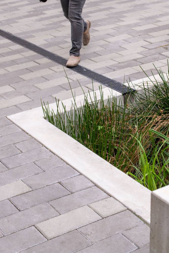 Closeup of permeable planting in the landscape.