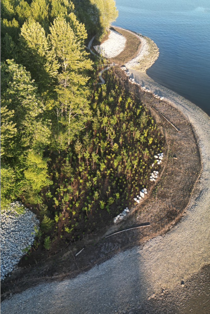 Restored shoreline drone photo