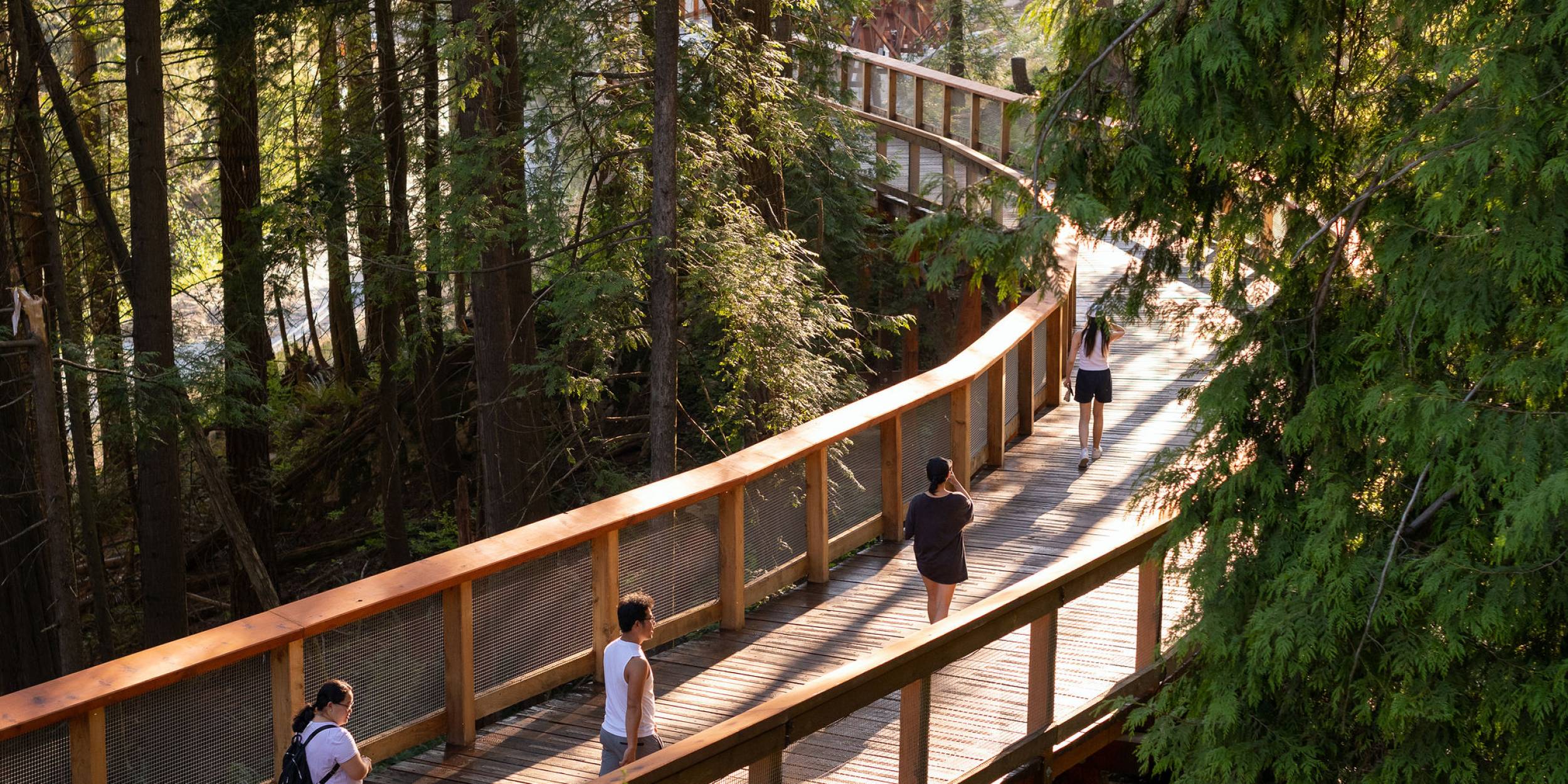 People walk through Trestle Bridge suspended in a forest.