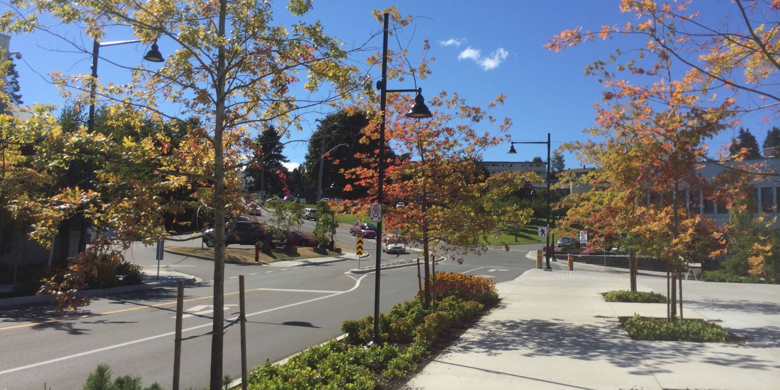 Campbell River Streetscape