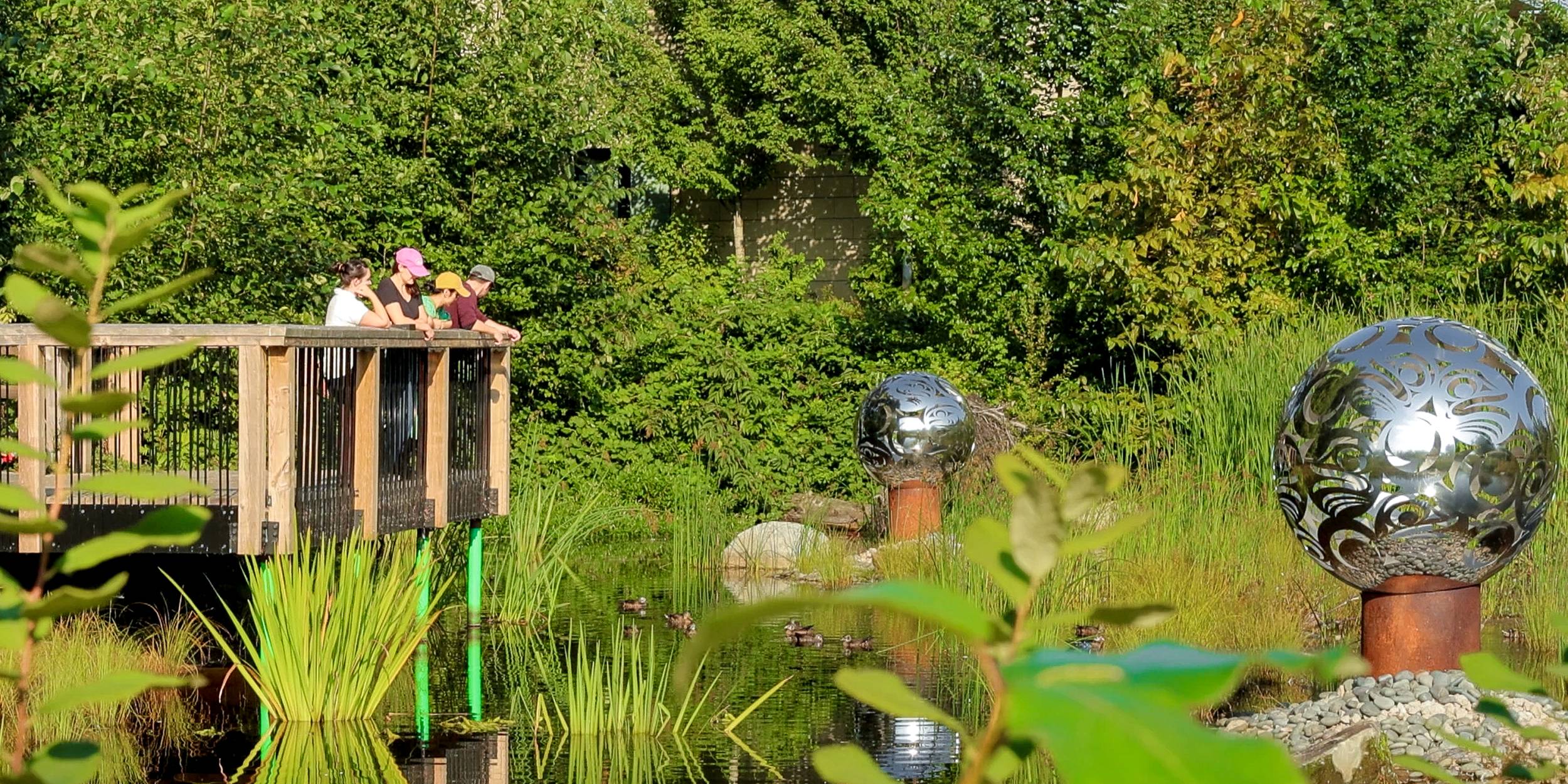 A small group stands on a lookout overlooking a wetland.