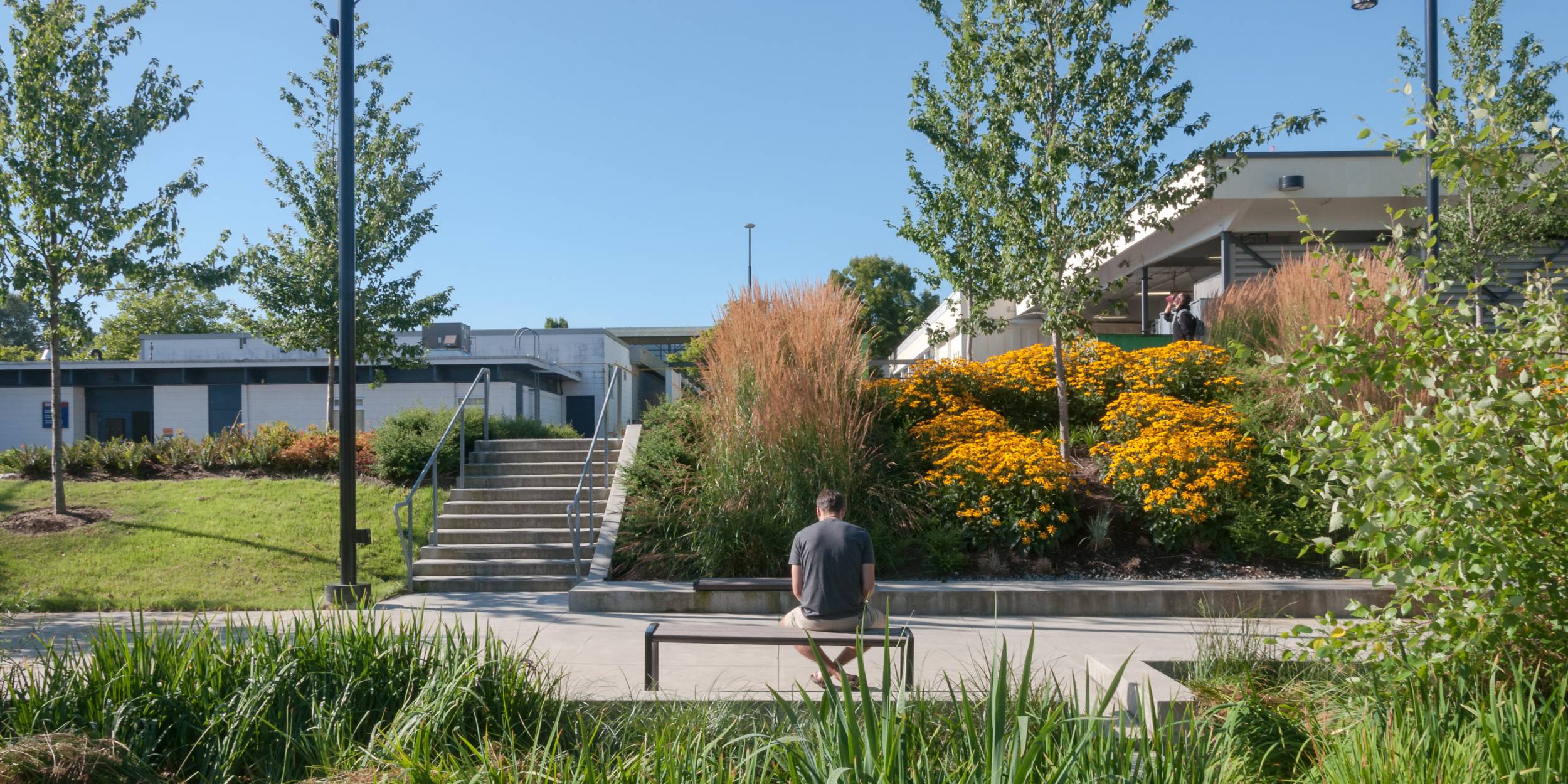 A person sitting on a bench along a pathway surrounded by large shrubs & planting.
