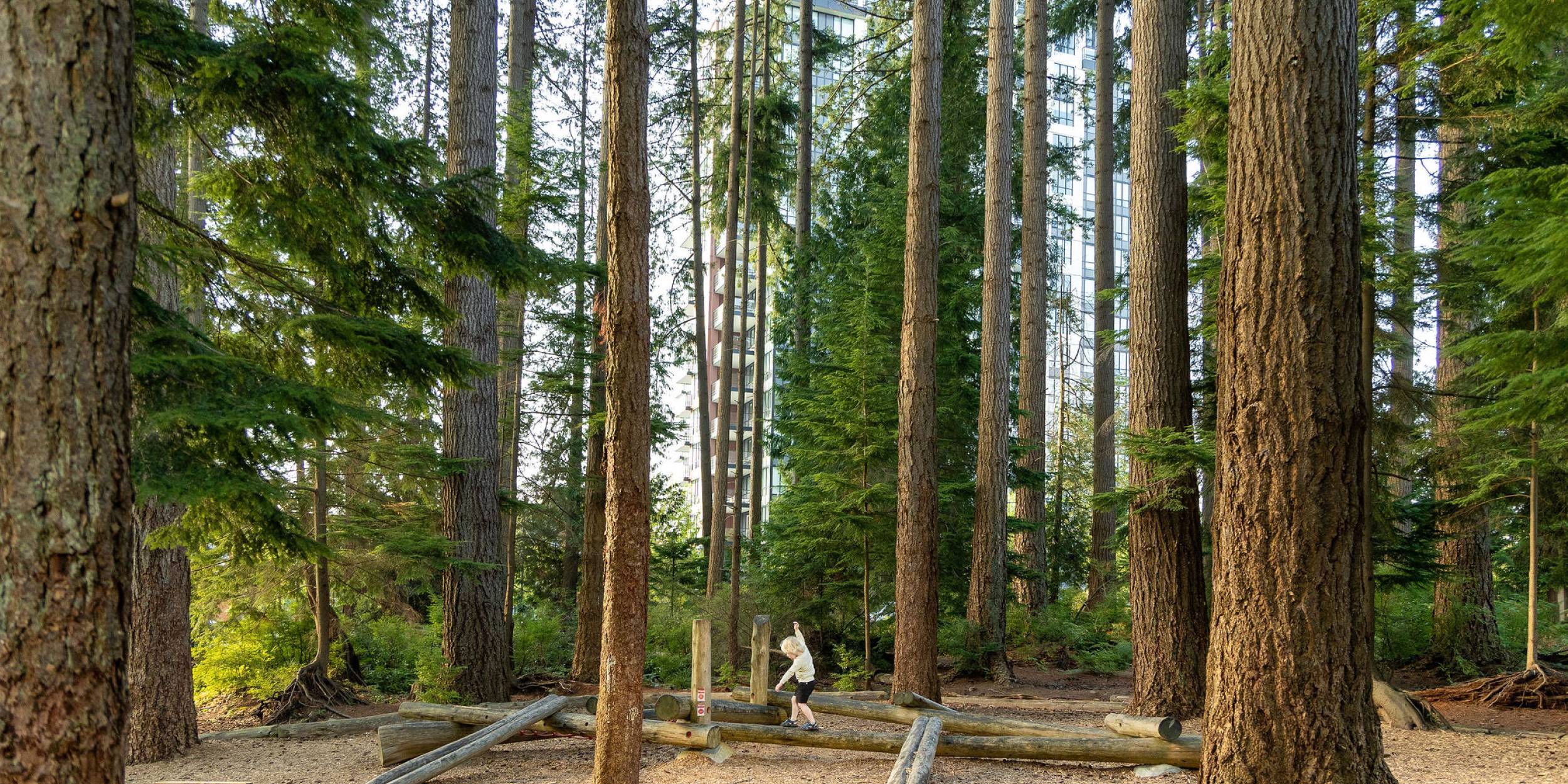 photo of child playing in the forest.