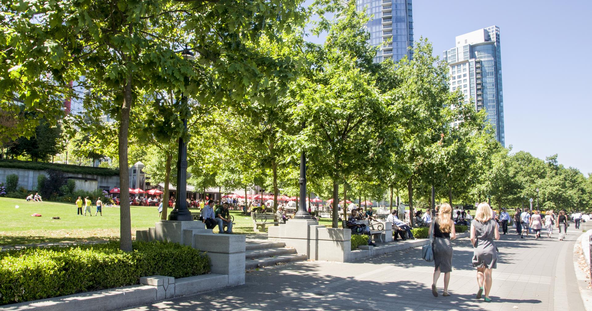 Coal Harbour Seawall