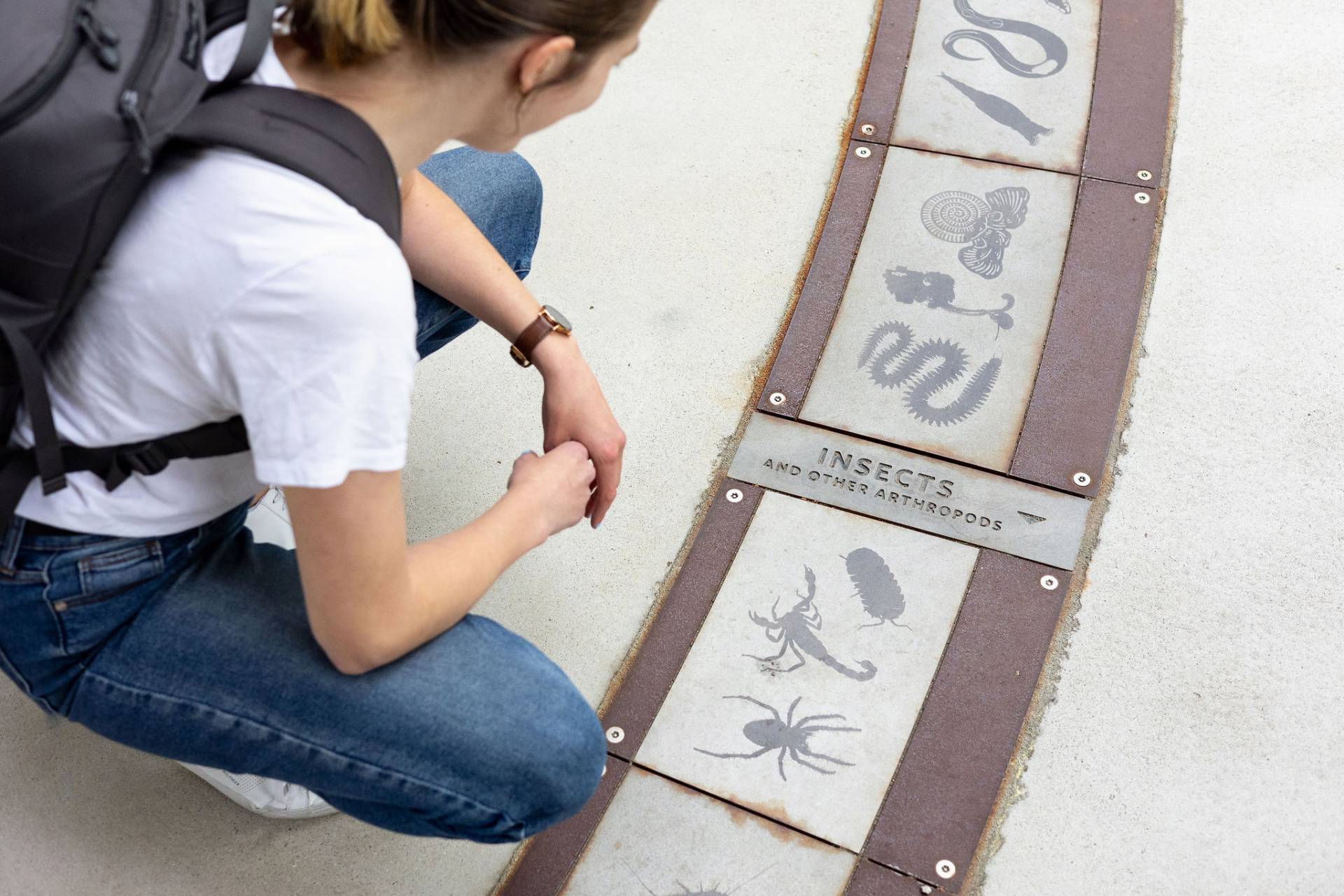 Person reading exhibit